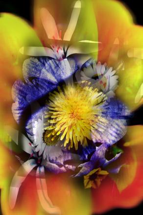 sandwhith, di fiori,,,,,