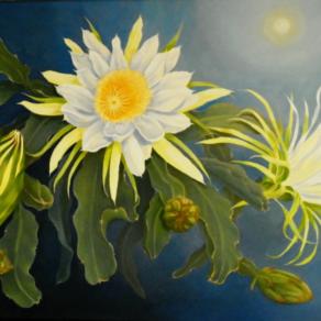 Night Blooming Cereus