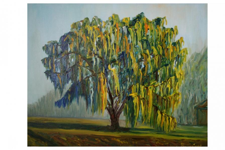 IL SALICE SULLA VIA CENTO IL SALICE SULLA VIA CENTO