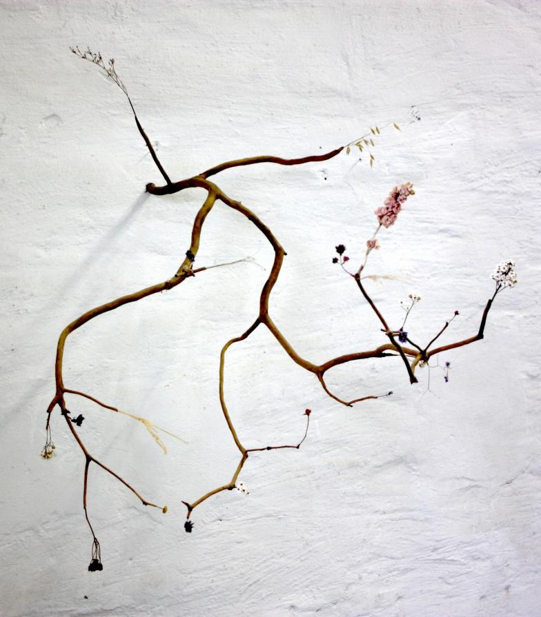 losing beauty _ graft #01