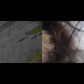 The Shipwright's Love Song