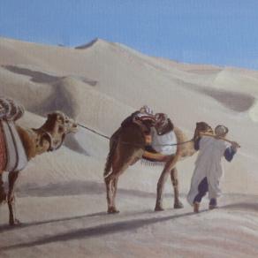 Chiara tranquillità