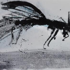 Improbabili animali - unlikely animals