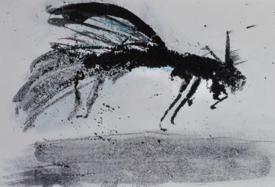 Improbabili animali - unlikely animals