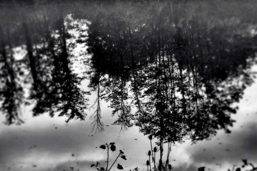 Il dilemma della realtà 