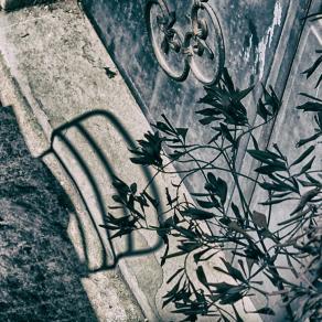 Aspettando  la brezza della sera 