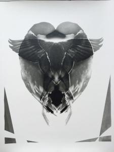 Evy Bosman - A HUNTERS HEART