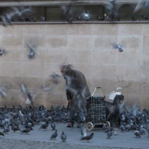 "The Birdman"... What is the story.....