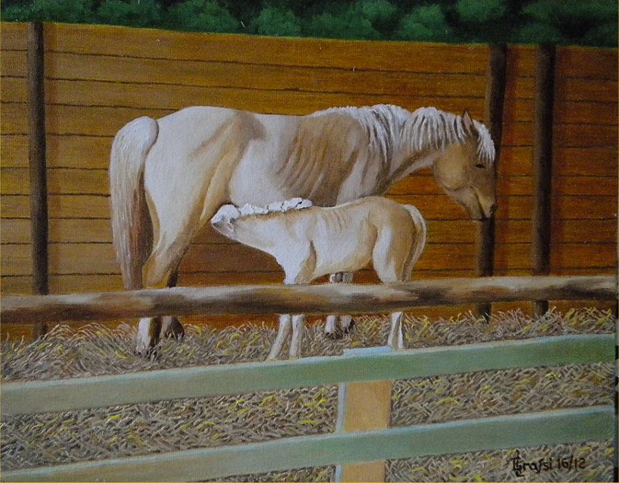 LG 0211 - Il piccolo puledro