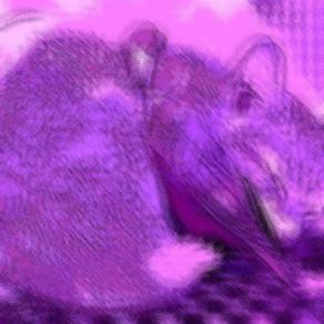 . . . INDIVISIBILI !!! . . . 