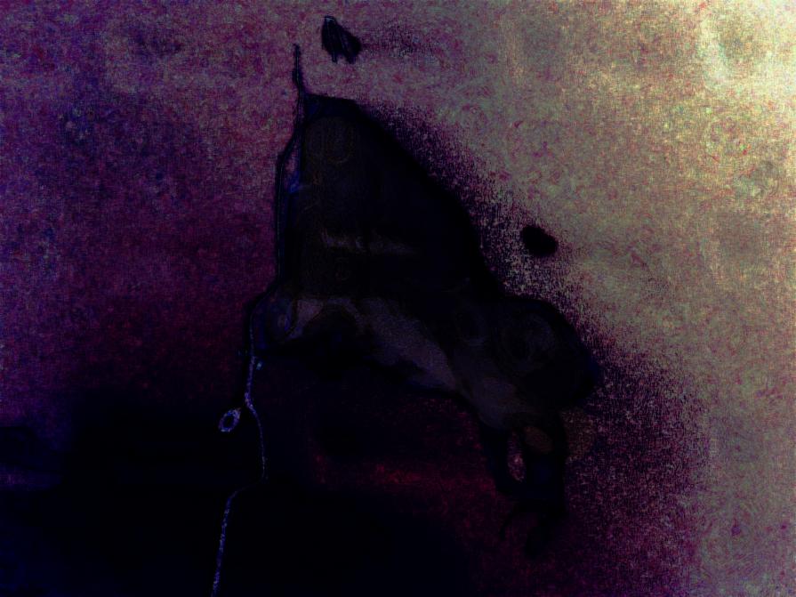 Tanto NON mi Arrendo