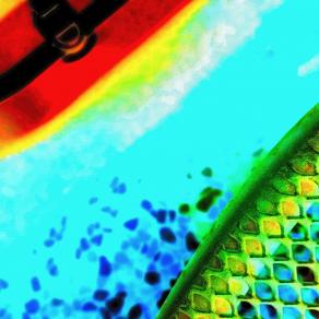 Celarsentiteroberacitolabicuo