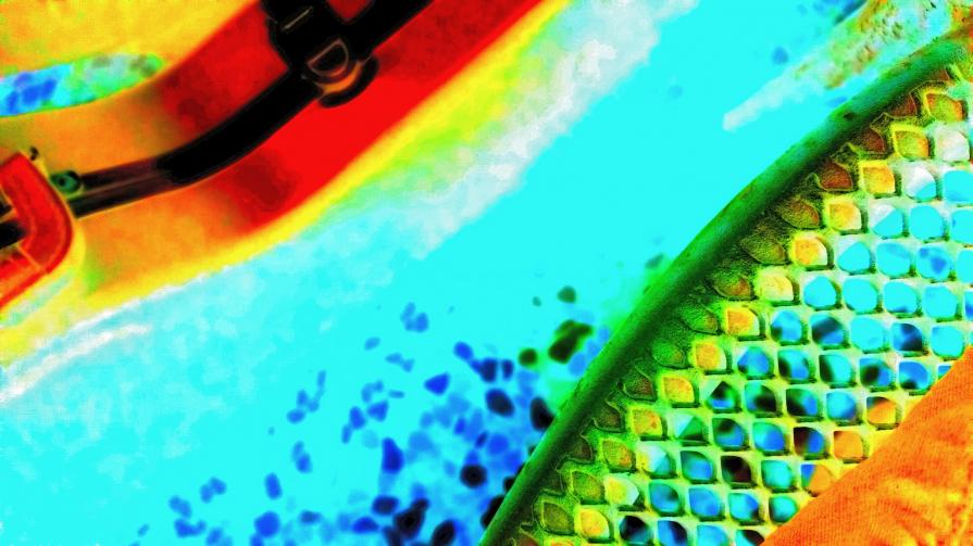 Celarsentiteroberacitolabicuo