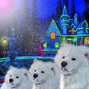 Penso spesso che la notte è più viva e intensamente colorata del giorno...!!!