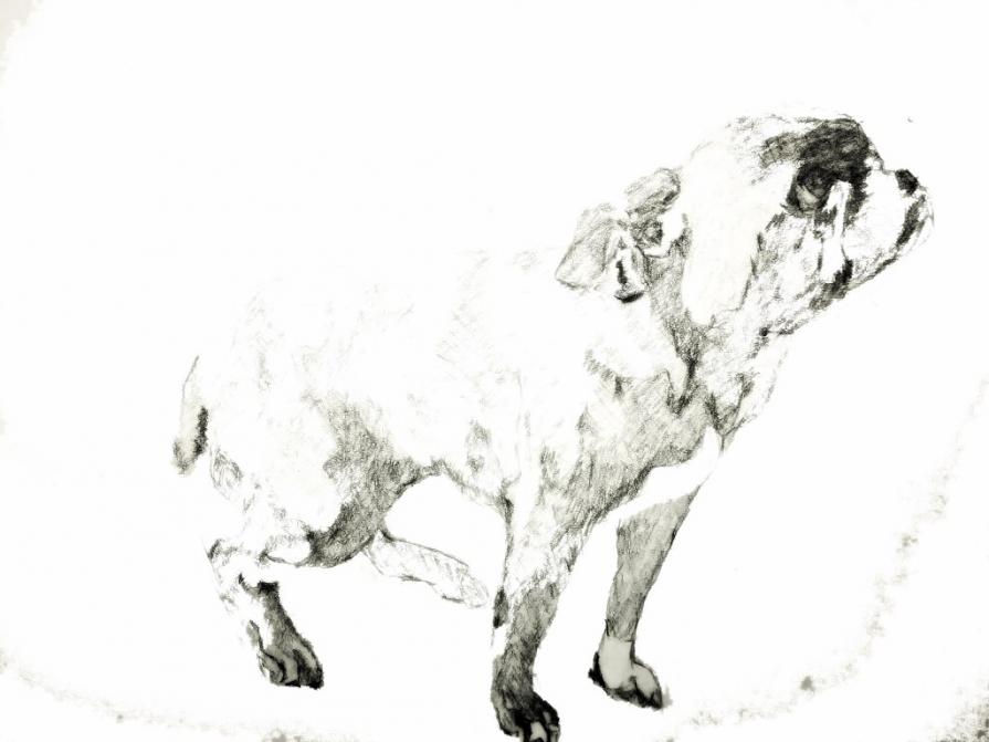 A long-lost friend work in progress