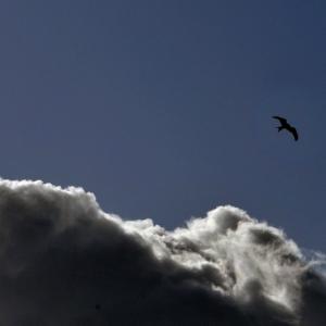 Italia. Basilicata & Campania. Abbandoni e riscoperte