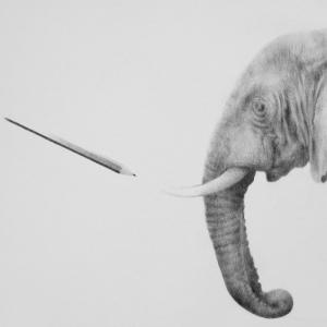 Massimiliano Galliani, Il mio segno