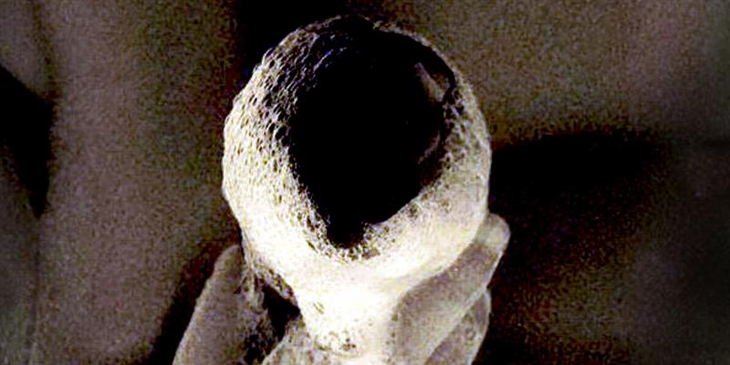 Sentimenti Sentimenti