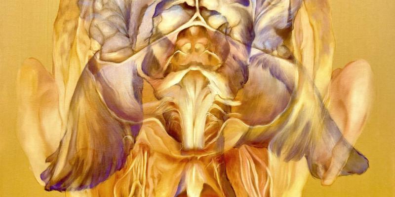 Vincitori del LXIX PREMIO BASILIO CASCELLA 2025