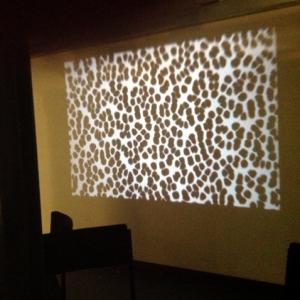 Colors, Materials, Signs