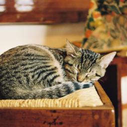 MariaCristina Spinnato