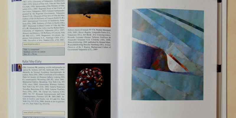 Who's Who in Visual Art 2012-13 - Publication 2012 (german edition)