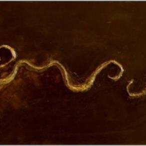 RELAZIONI MATERICHE baroccco