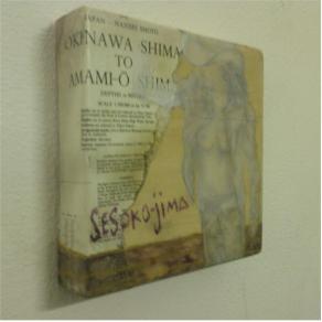 Sesoko Jima (particolare)