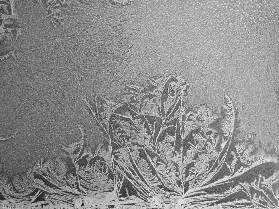 Naturalismo ancestrale