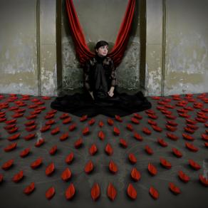 S.e.r.o.t.o.n.i.n.A S.e.r.o.t.o.n.i.n.A