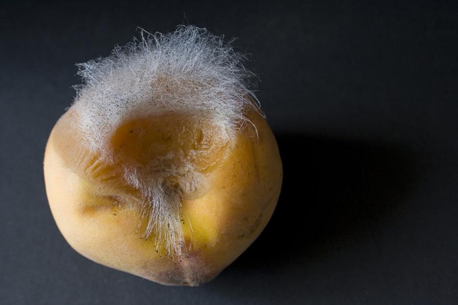 i gioielli del tempo_1800