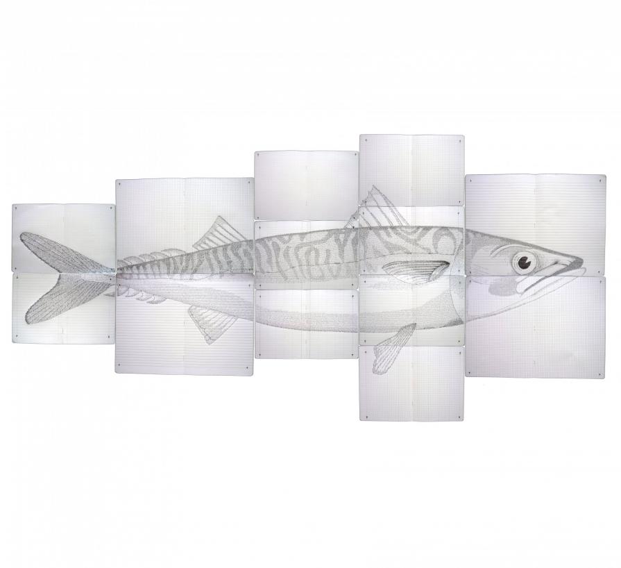 mi sento un pesce fuor d'acqua mi sento un pesce fuor d'acqua