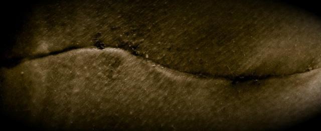 Paesaggi di carne II