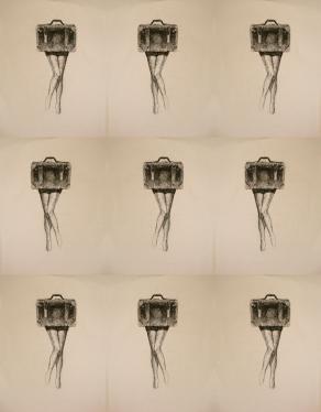 I want to travel but i do not need a suitcase #2