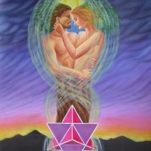 ALBERI , SOLO ALBERI , AMATI ALBERI .