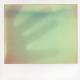 Remember the small things, polaroid series n2