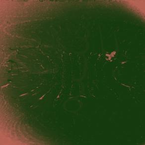 Qais whisper in the solitude of the Green Veil