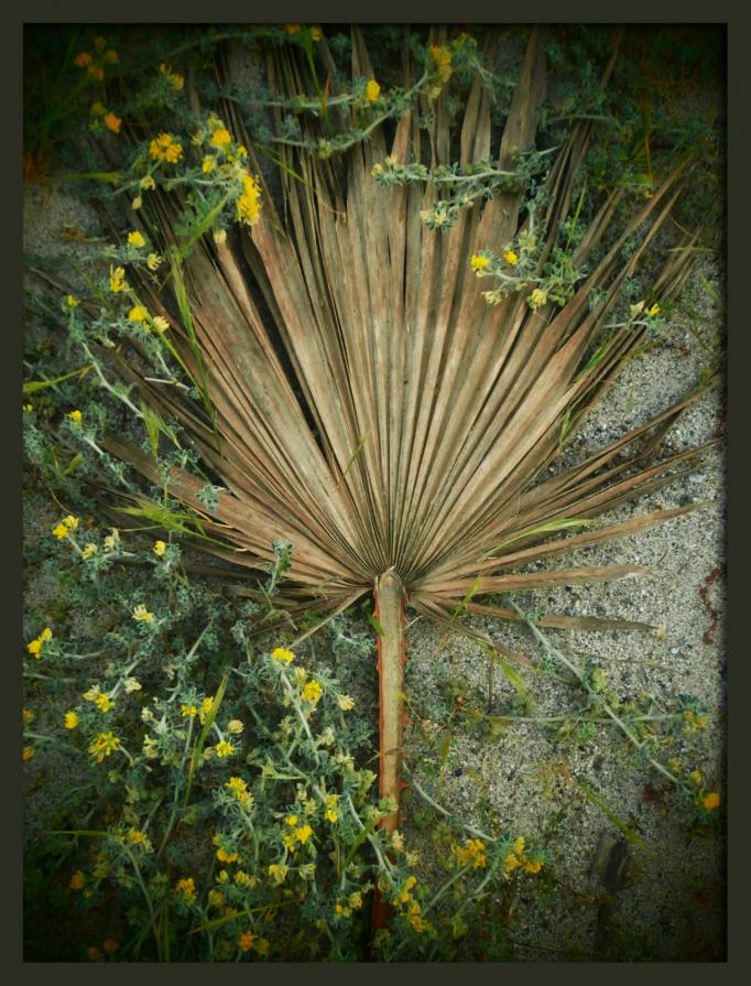 NON C'È NIENT'ALTRO DI BELLO CHE IL MERAVIGLIOSO