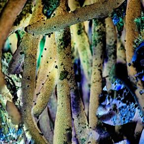 From a different space