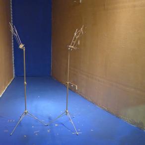 An Aquarium of Equations