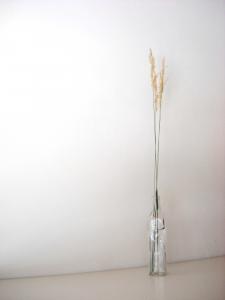 Loredana Sansavini - bottiglia