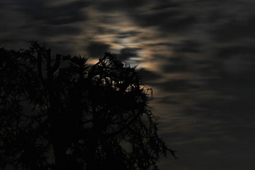 lago di Como - lake Como