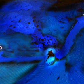 metti il tuo cuore in cio' che fai.vedrai che pesera di piu' delle regole trascritte da giudici inaffidabili. .