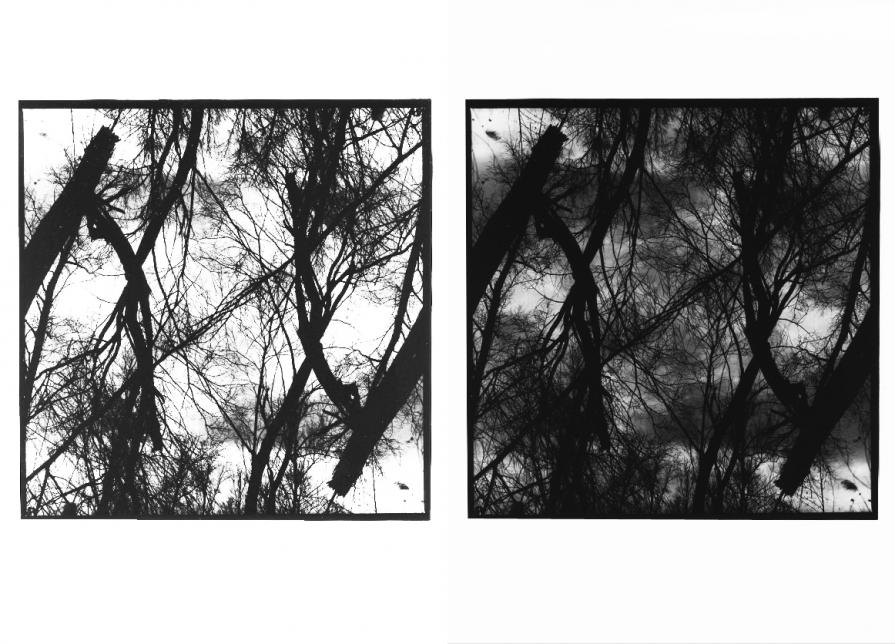 La linea, il cerchio