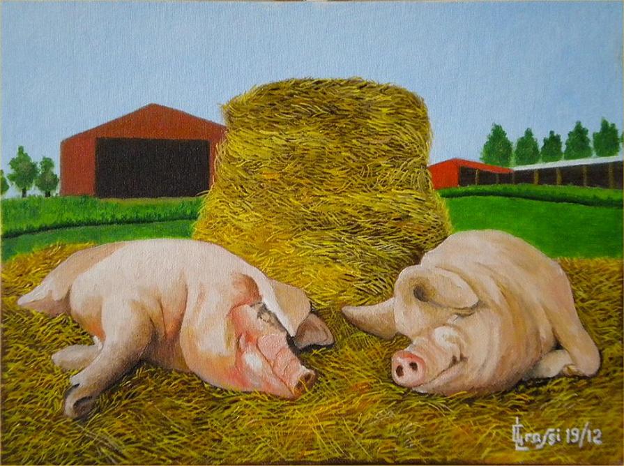 LG 0214 - I maialetti