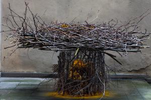 keri rosebraugh - Big Dreams Lead Feet