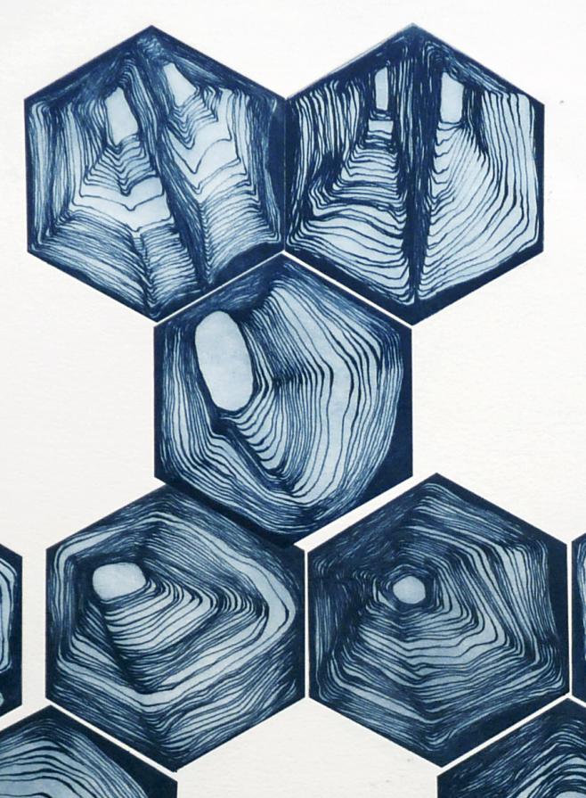 Pixelized turtle detail