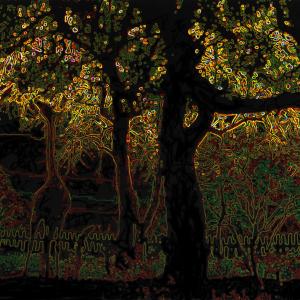 The devastation goes beyond the fence