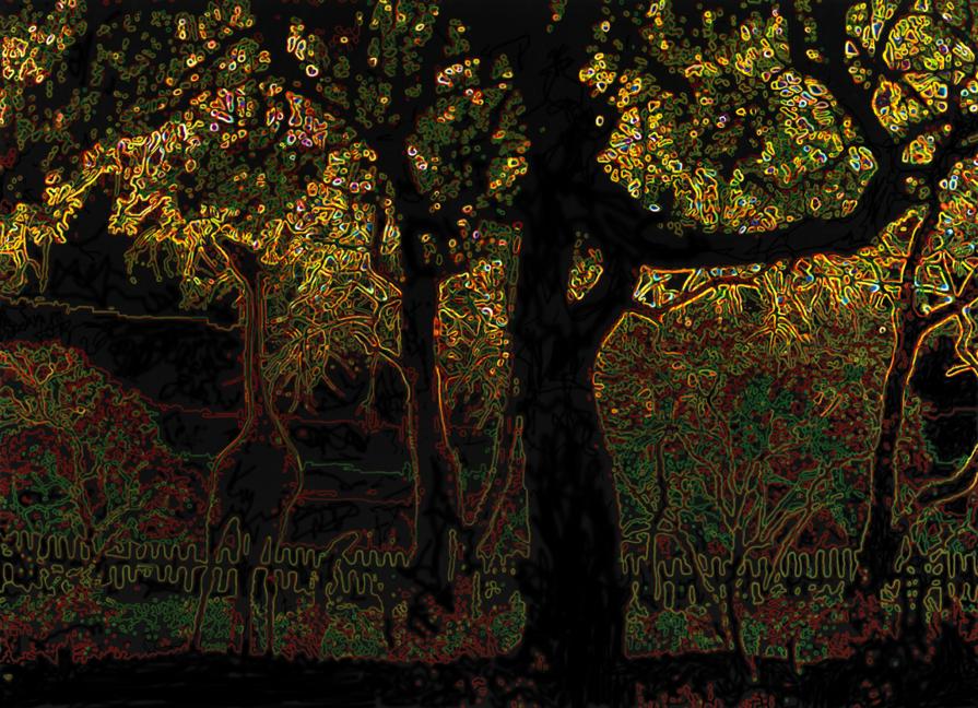 The devastation goes beyond the fence