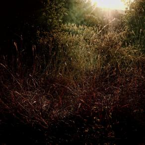 Il mio rifugio ( My refuge )